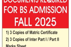 WhatsApp Image 2025-08-04 at 11.04.08 AM